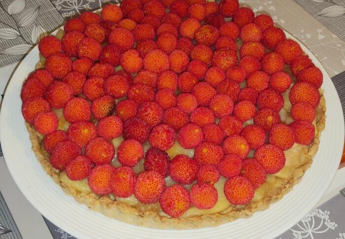 Tarte aux arbouses